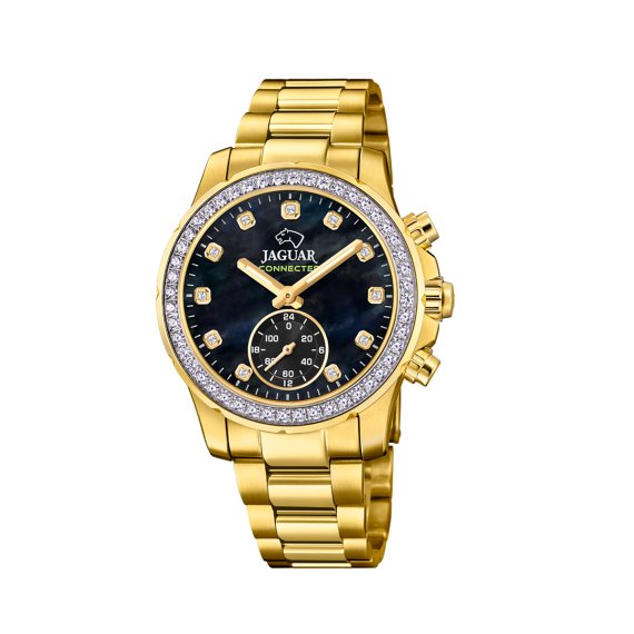 Jaguar Limited Edition Connected